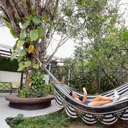 الجبل الأخضر Montefresco Boutique Hostel المظهر الخارجي الصورة